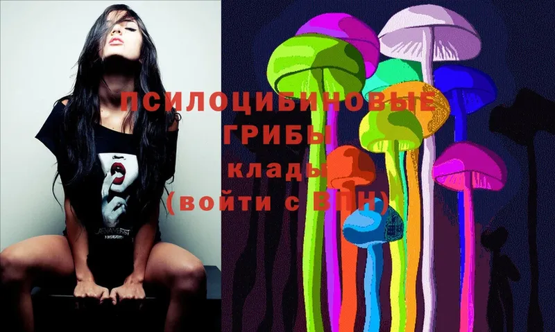 Псилоцибиновые грибы Psilocybe  МЕГА онион  Иваново 